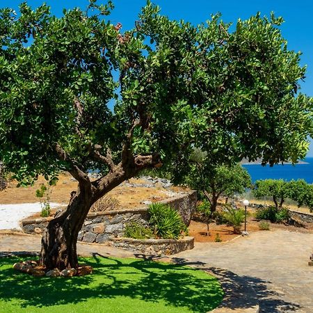 Elounda Anemelia Apartments Exterior photo
