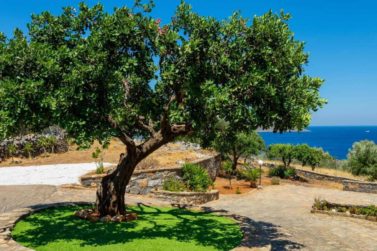 Elounda Anemelia Apartments Exterior photo